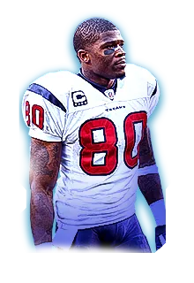 Andre Johnson