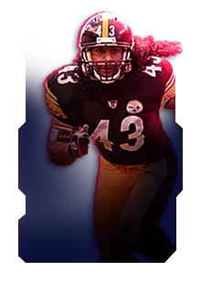 Troy Polamalu